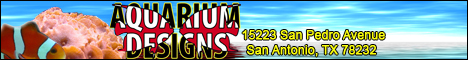 Aquarium Designs